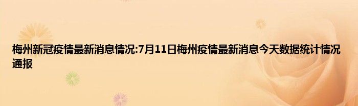 梅州新冠疫情最新消息情况7月11日梅州疫情最新消息今天数据统计情况