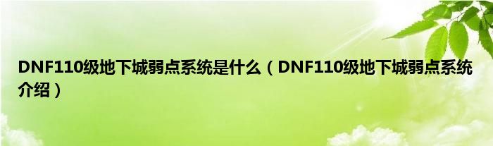 DNF110级地下城弱点系统是什么（DNF110级地下城弱点系统介绍）