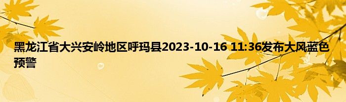 黑龙江省大兴安岭地区呼玛县2023