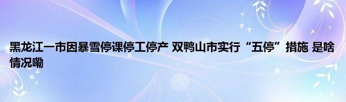黑龙江一市因暴雪停课停工停产 双鸭山市实行“五停”措施 是啥情况嘞