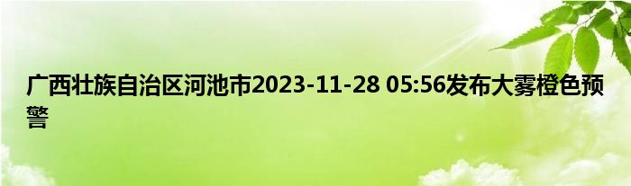 广西壮族自治区河池市2023