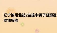 辽宁锦州北站2名撑伞男子疑遭遇雷击 被紧急送医无生命危险 是啥情况嘞