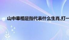 山中宰相是指代表什么生肖,打一最佳生肖词,落实释义解释