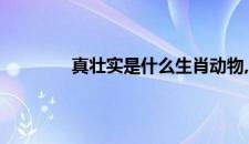 真壮实是什么生肖动物,全面揭晓解释落实