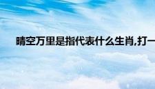 晴空万里是指代表什么生肖,打一最佳生肖词,落实释义解释